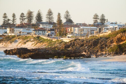 Bennion Dog Beach Trigg Perth