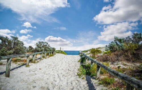 Dog Beach South of City Beach perth