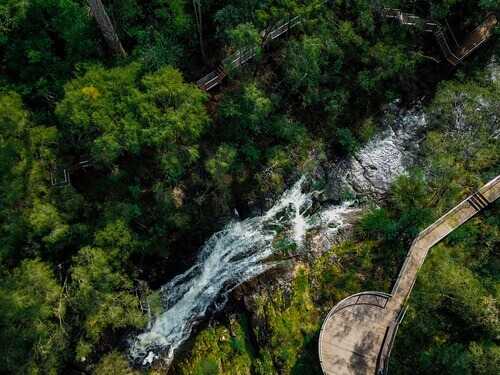 Beedelup Falls, Beedelup