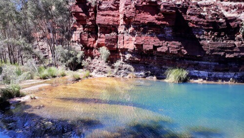 Fern Pool, Karijini National Park