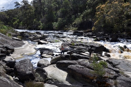 Fernhook Falls, Walpole area