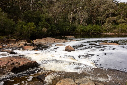 Lane Poole Falls, Northcliffe