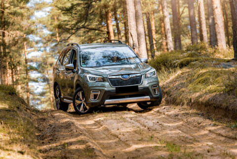 The ultimate guide to driving on country roads - City Subaru
