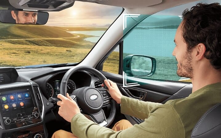 Man driving car with scenic landscape view