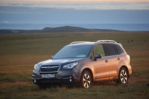 Experience the Subaru Forester - City Subaru