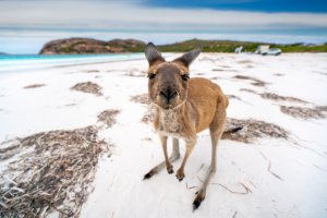 Perth to Esperance