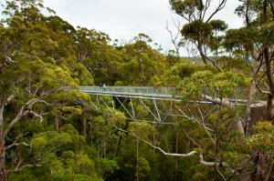 Perth to Walpole Nornalup