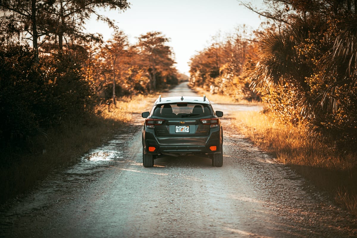 Rear view of a dark Subaru Crosstrek driving down a remote gravel road surrounded by golden autumn foliage and tall trees, with warm sunlight casting long shadows across the trail.
