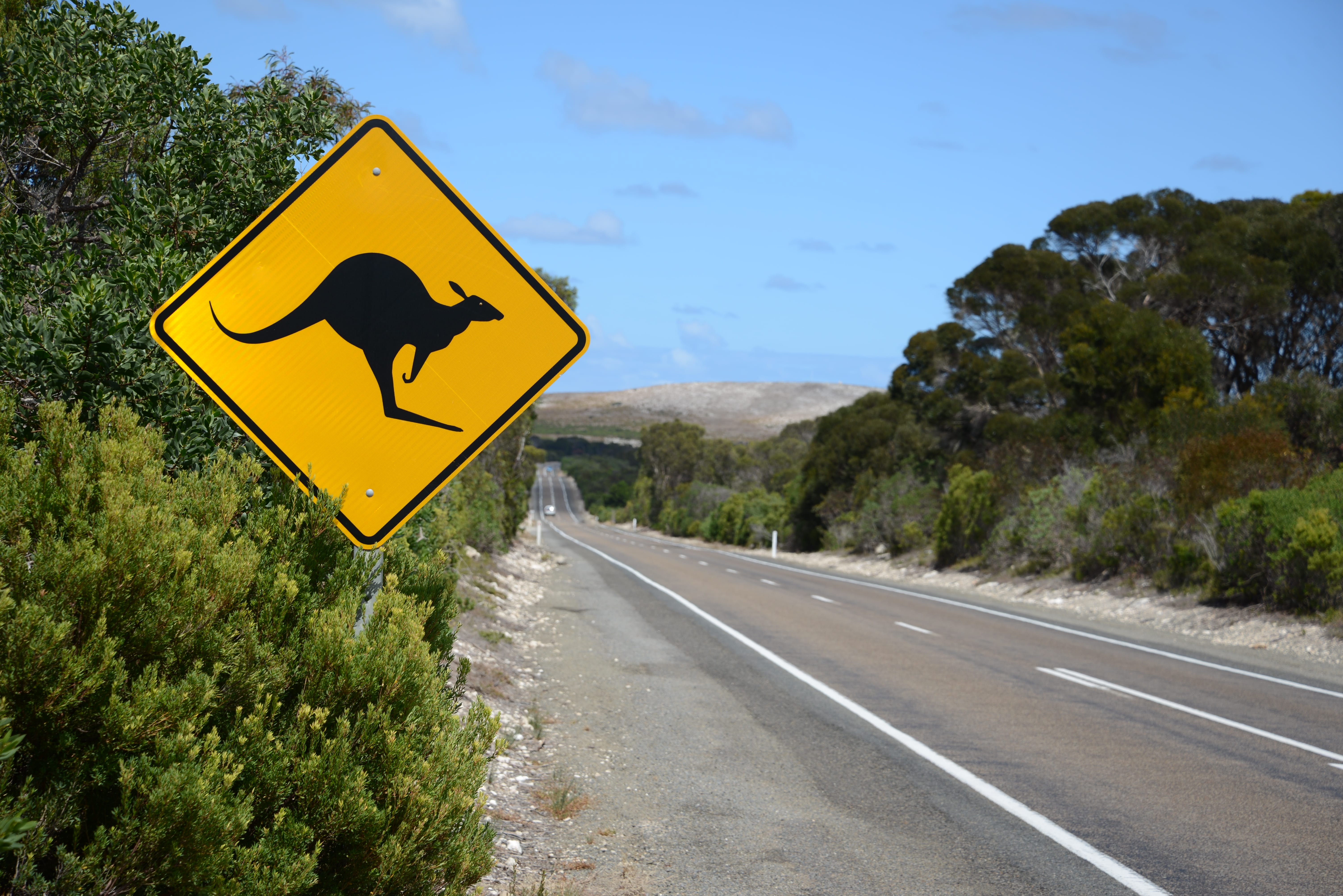 A yellow kangaroo crossing sign stands beside a quiet rural Australian road, surrounded by bushland and rolling hills under a blue sky