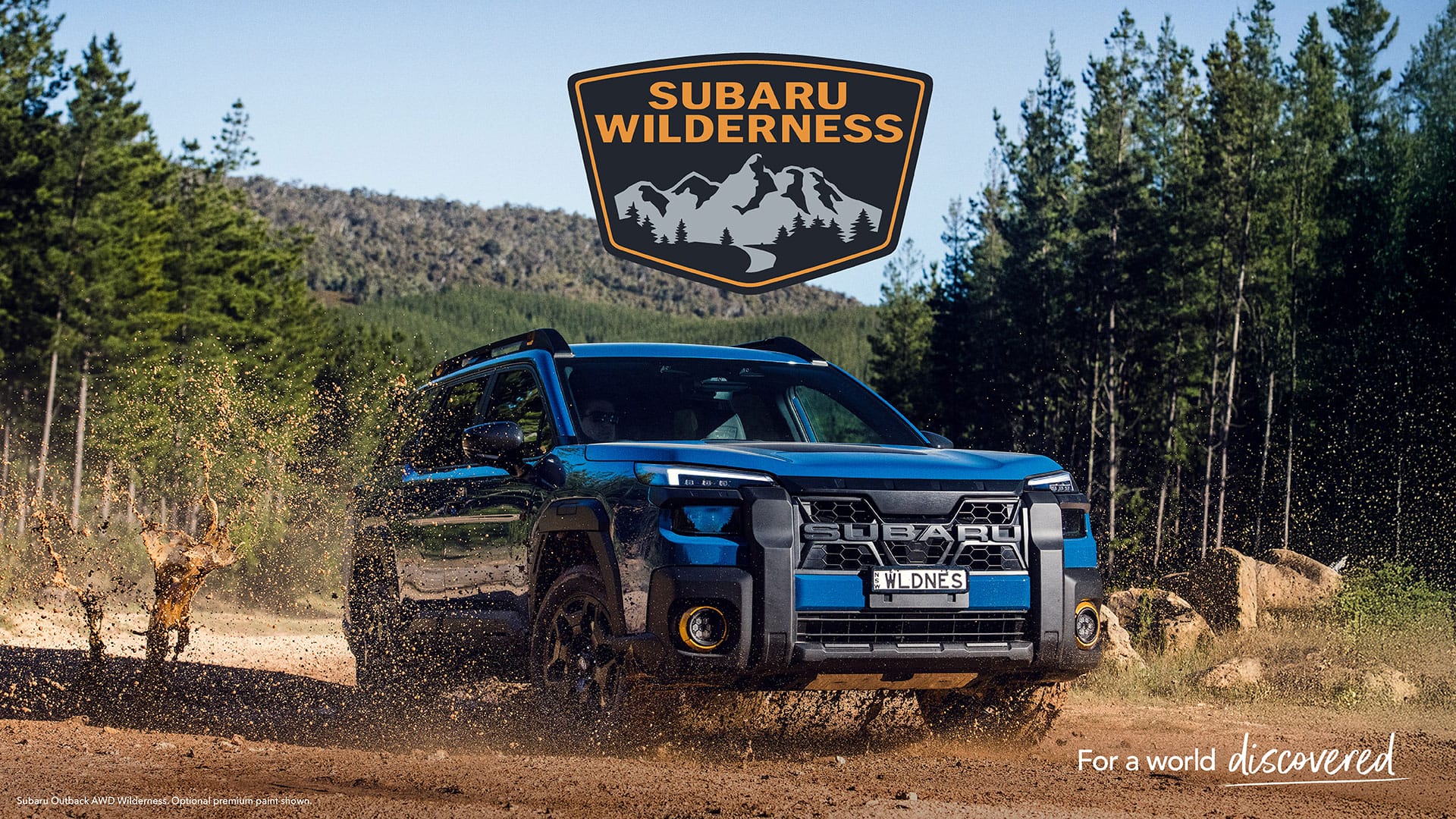 subaru outback for sale