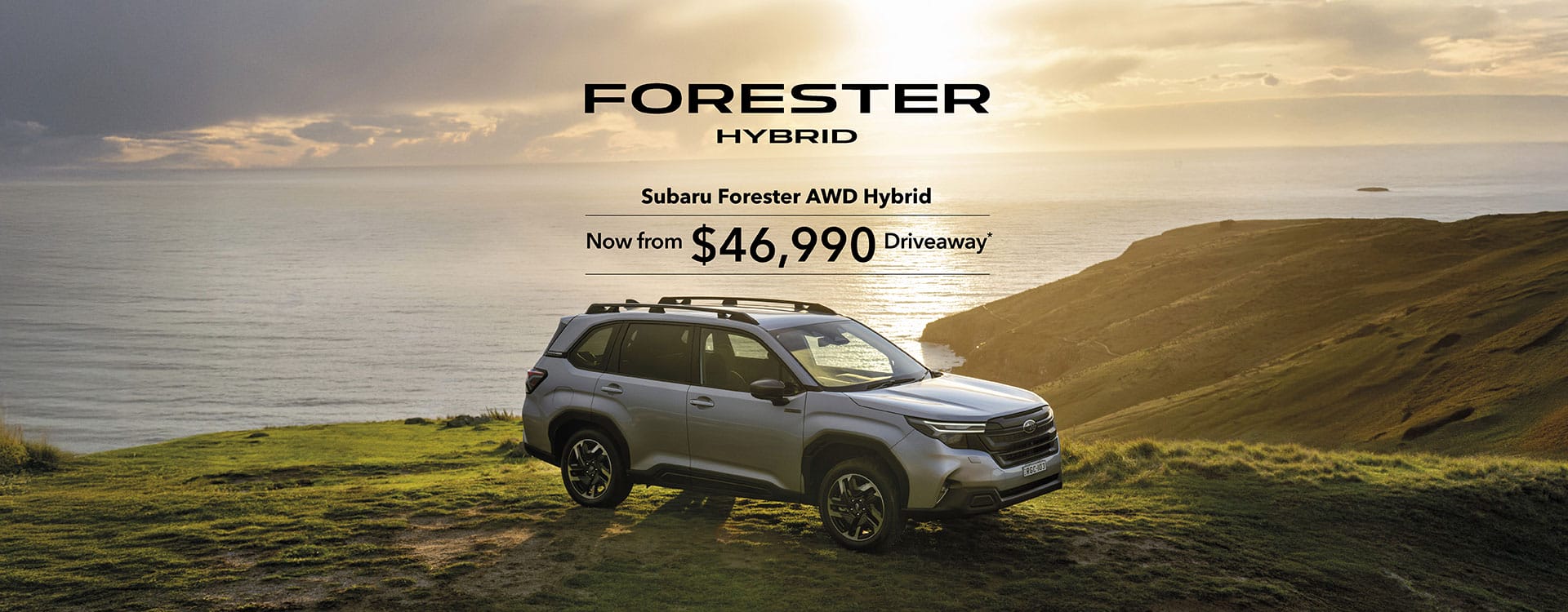 Forester Hybrid